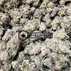 Sunset Sherbet | Buy Online Weeds | Buyweedpacks