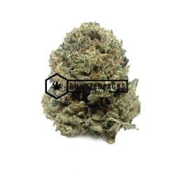 Tuna Kush | Buy Online Weeds | Buyweedpacks