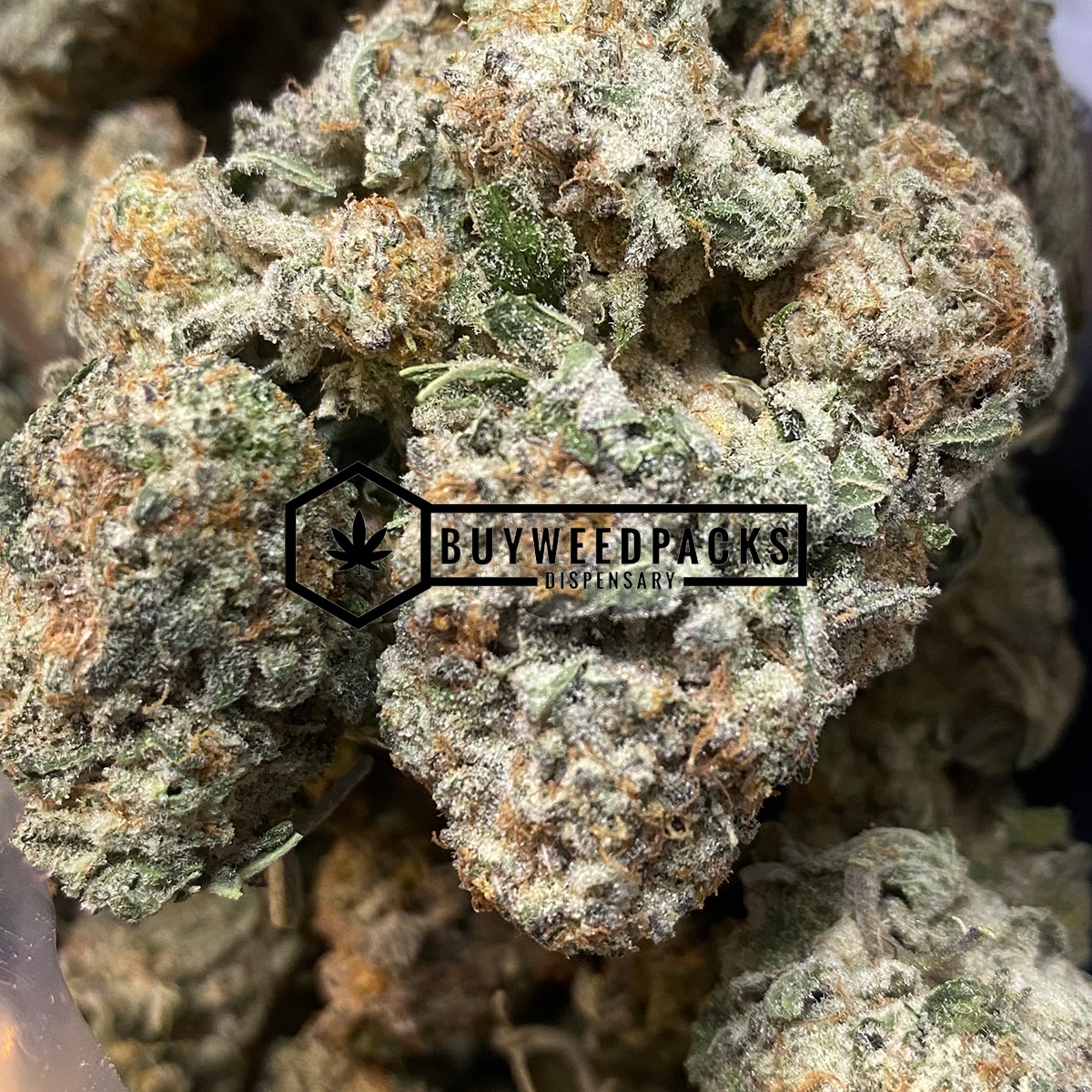 Walter White | Buy Online Weeds | Buyweedpacks