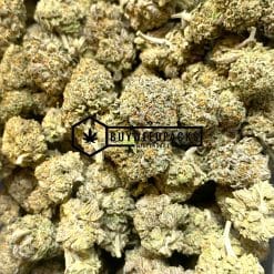 Black Domina - Online Dispensary Canada - Buyweedpacks