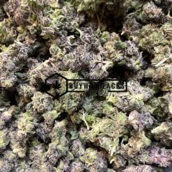 Citrix - Online Dispensary Canada - Buyweedpacks