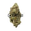 Cookie Puss - Online Dispensary Canada - Buyweedpacks