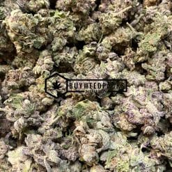 Durban Princess - Online Dispensary Canada - Buyweedpacks