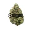 EL Muerte | Buy Online Weeds | Buyweedpacks
