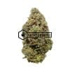Greasy Rockstar - Buy Weed Online - Buyweedpacks
