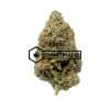 Purple Headband - Online Dispensary Canada - Buyweedpacks
