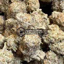 Purple Headband - Online Dispensary Canada - Buyweedpacks