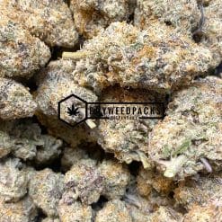 Purple MAC 10 | Buy Online Weeds | Buyweedpacks