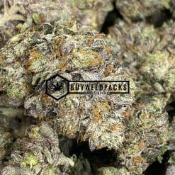 Purple Octane - Online Dispensary Canada - Buyweedpacks