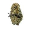 Bear Claw - Buy Weed Online - Buyweedpacks