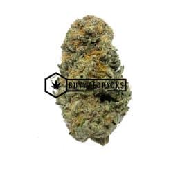 Bear Claw - Buy Weed Online - Buyweedpacks