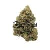 Brownie Scout - Buy Weed Online - Buyweedpacks