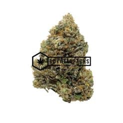 Brownie Scout - Buy Weed Online - Buyweedpacks