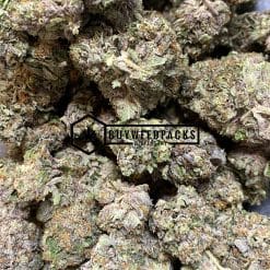 Brownie Scout - Buy Weed Online - Buyweedpacks