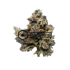 Brownie Scout | Buy Online Weeds | Buyweedpacks