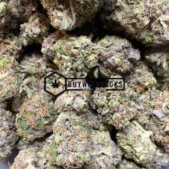 Brownie Scout - Buy Weed Online - Buyweedpacks
