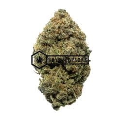 Gelonade - Online Dispensary Canada - Buyweedpacks