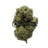 Gorilla Glue #4 - Online Dispensary Canada - Buyweedpacks