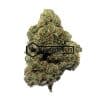 Island Sweet Skunk - Online Dispensary Canada - Buyweedpacks