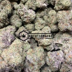 Island Sweet Skunk - Online Dispensary Canada - Buyweedpacks