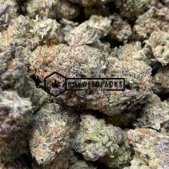 Purple MAC 10 - Online Dispensary Canada - Buyweedpacks