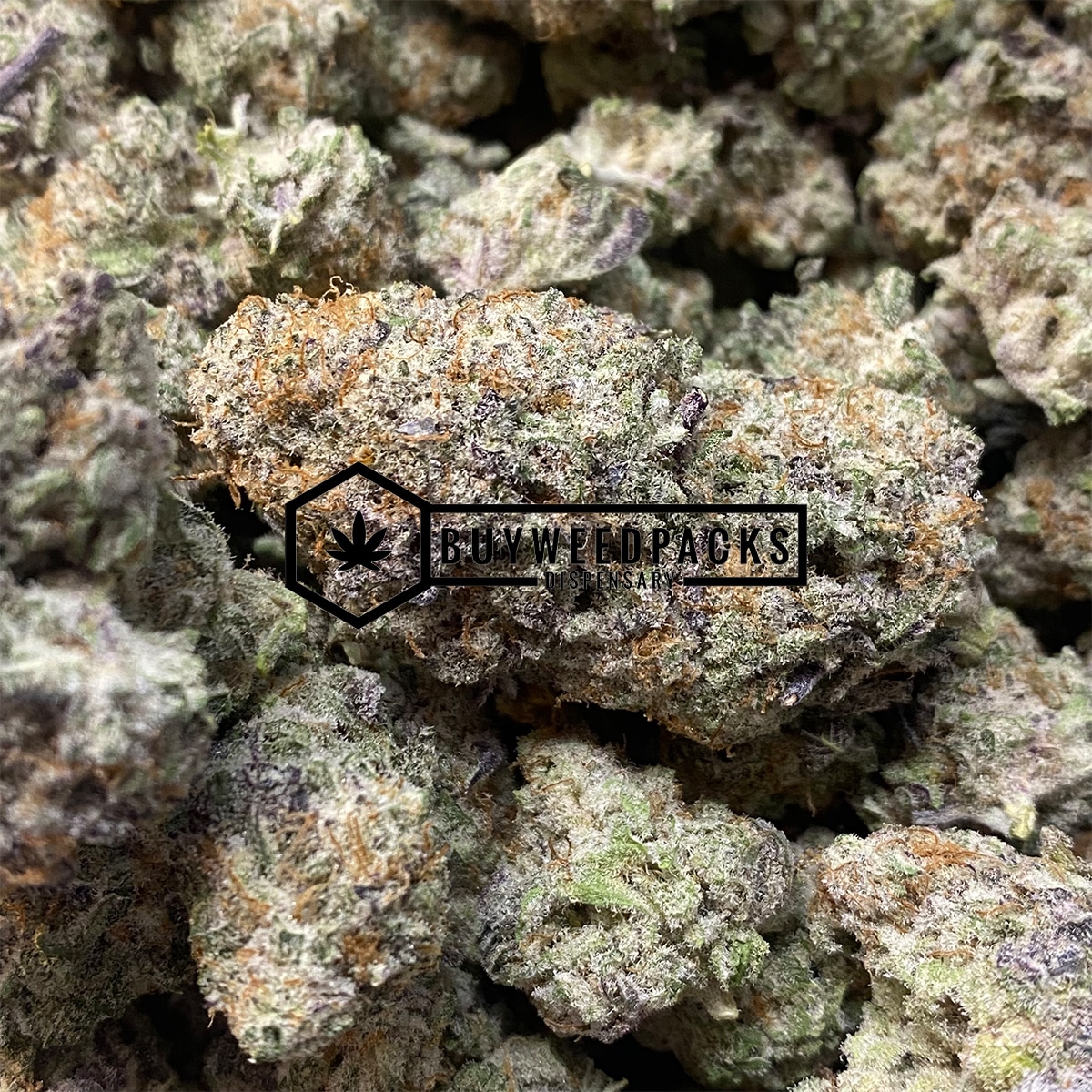 Purple MAC 10 - Online Dispensary Canada - Buyweedpacks