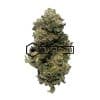 Purple Pink Kush - Online Dispensary Canada - Buyweedpacks
