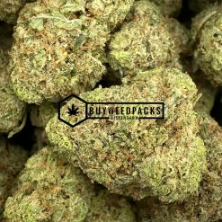 Alien Cookies - Online Dispensary Canada - Buyweedpacks