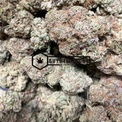 Amnesia Haze- Online Dispensary Canada - Buyweedpacks