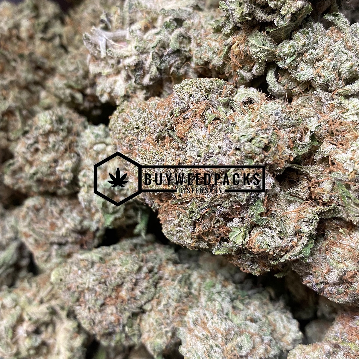 Amnesia Haze- Online Dispensary Canada - Buyweedpacks