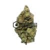 Astro Pink - Online Dispensary Canada - Buyweedpacks