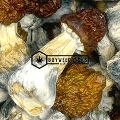 Blue Pulaski Magic Mushrooms | Buy Online Weeds | Buyweedpacks