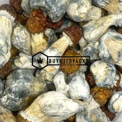 Blue Pulaski Magic Mushrooms | Buy Online Weeds | Buyweedpacks
