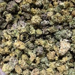 Critical Jack - Online Dispensary Canada - Buyweedpacks