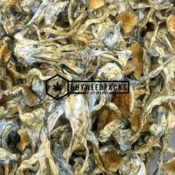 Full Moon Party | Buy Online Weeds | Buyweedpacks