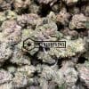 Greasy Rockstars - Online Dispensary Canada - Buyweedpacks