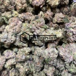 Greasy Rockstars - Online Dispensary Canada - Buyweedpacks