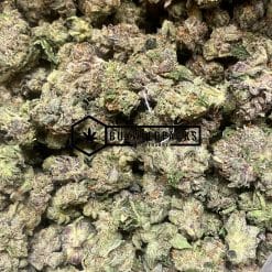 Greasy Rockstars - Online Dispensary Canada - Buyweedpacks