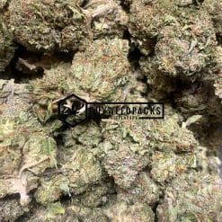Jedi Kush - Online Dispensary Canada - Buyweedpacks