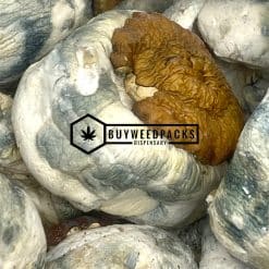 King Kong | Buy Online Weeds | Buyweedpacks