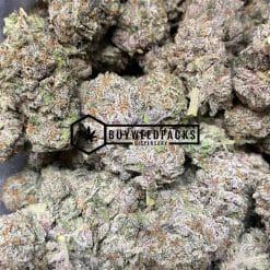 Pink Berry - Online Dispensary Canada - Buyweedpacks