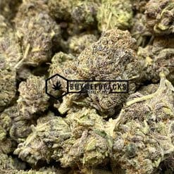 Pink Kush - Buy Weed Online - Buyweedpacks