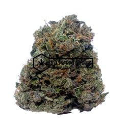 Pink Rockstar - Online Dispensary Canada - Buyweedpacks