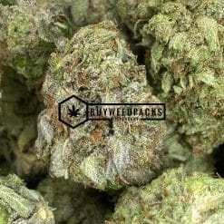 Pink Rockstar - Online Dispensary Canada - Buyweedpacks
