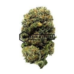 Purple Khalifa Kush - Online Dispensary Canada - Buyweedpacks