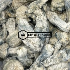 SV-13 | Buy Online Weeds | Buyweedpacks