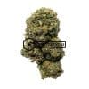 Screwhead OG - Online Dispensary Canada - Buyweedpacks