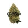 Wedding Gelato | Buy Online Weeds | Buyweedpacks