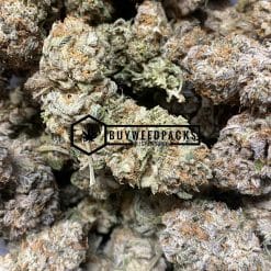 White Truffle - Online Dispensary Canada - Buyweedpacks