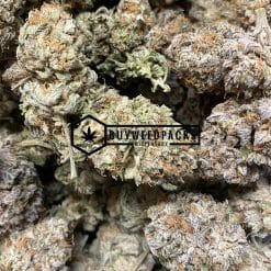 White Truffle - Online Dispensary Canada - Buyweedpacks